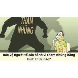 Bảo vệ người tố cáo hành vi tham nhũng bằng hình thức nào?