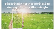 Sản xuất liên kết theo chuỗi giá trị chương trình mục tiêu quốc gia
