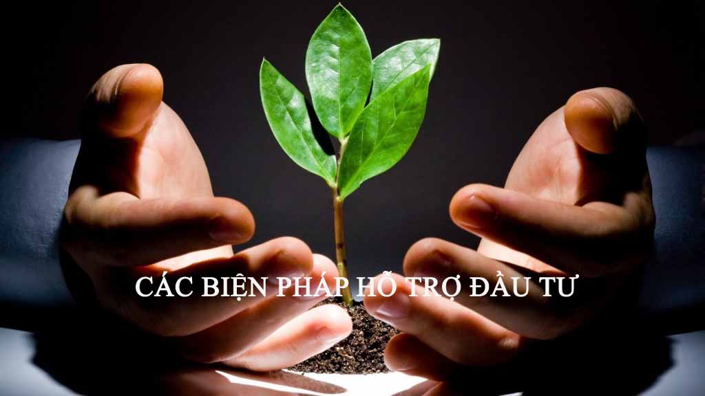 Hỗ trợ đầu tư