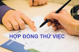 Hợp đồng thử việc