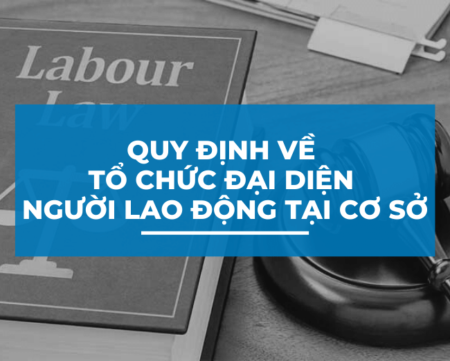 Tổ chức đại diện người lao động