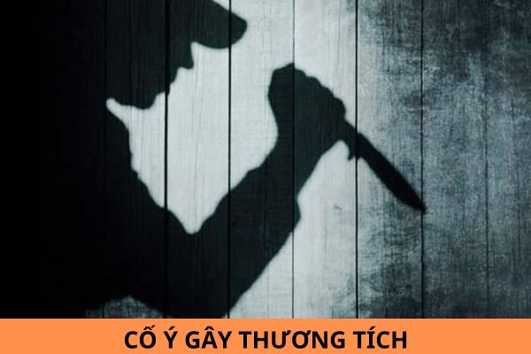 Gây thương tích cho người khác